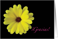 Spanish Gracias Thank You Yellow Flower card