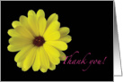 Thank You Yellow Flower card