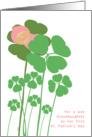 St. Patrick’s Day Granddaughter Baby’s First card