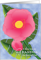 Birthday for Grandma Grandmother Pink Tropical Flower card