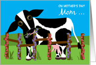 Mother’s Day Mom Funny Holstein Cow Eating Flowers in Field card