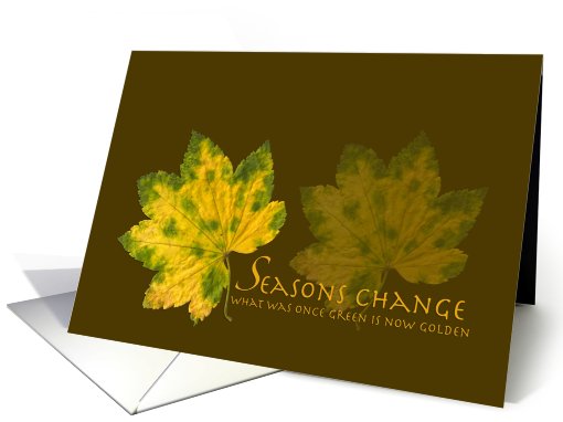 Birthday Ex Son-in-Law Former Golden Leaves card (576081)