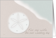 For My Wife on Our Wedding Day Sand Dollar and Ocean Beach card