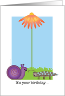 Funny Bug and Snail Happy Birthday Friend with Orange Daisy card