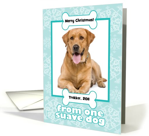 Pet Groomer Thank You Christmas Photo Card from Dog Snowflakes card