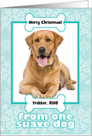 Pet Groomer Thank You Christmas Photo Card from Dog Snowflakes card