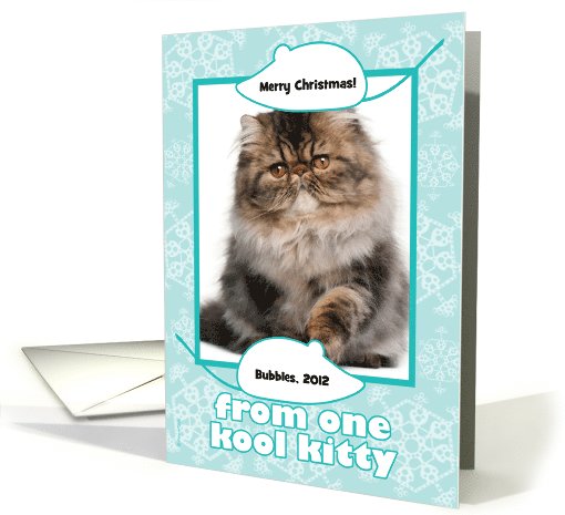 Pet Groomer Thank You Christmas Photo Card from Cat with Mice card