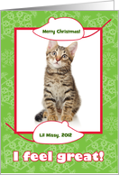 Veterinarian Christmas Photo Card from Cat with Mice and Snowflakes card