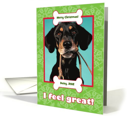 Veterinarian Christmas Photo Card from Dog with Bones and... (879464)