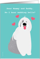 Mummy and Daddy Wedding Congratulations from Dog Old English Sheepdog card