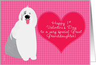 Great Granddaugher Baby’s First Valentine’s Day with Cute Dog on Pink card