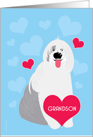 Grandson Valentine’s Day Cute Dog Old English Sheepdog Red Hearts card