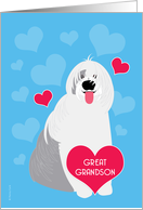 Great Grandson Valentine’s Day Cute Dog Old English Sheepdog card