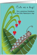 Grandson First Valentine’s Day Cute Beetle Bug on Leaf with Flowers card