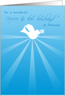 Niece and Husband Passover Peace Dove with Olive Branch on Blue card
