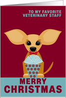 Veterinary Staff Christmas Chihuahua Dog on Red and Dusty Blue card