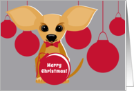 Merry Christmas Tan Chihuahua Dog with Red Ornaments on Silver Gray card