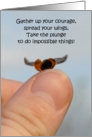 Ladybug graduation Card