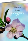 First Day of Chemo You are in Our Prayers card