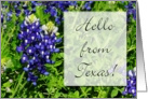 Hello From Texas State Specific Bluebonnet Blank Inside card