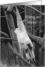 Hang in there! Hope Things Get Better Encouragement card