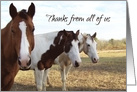 Horses Thank You From Group card
