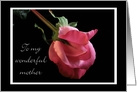 Happy Valentine’s Day Mother Pink Rose card