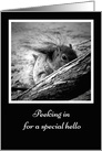 Secret Pal Squirrel Hello card