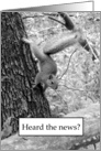 Squirrel Funny New Address Announcement card