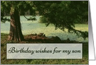 Happy Birthday, Son, Tree and Water. card