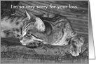 Tabby Cat Loss of Cat Sympathy card