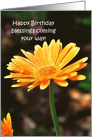 Birthday Blessings, Yellow Zinna card