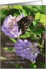 Lovely Butterfly Thank You for Volunteering card