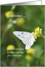 Miscarriage Sympathy Butterfly card