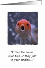 Goldfish birthday humor card