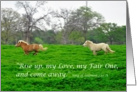 Running Ponies Song of Solomon Christian Love Card