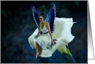 The Blue Fairy on a Moon Flower (blank inside) card