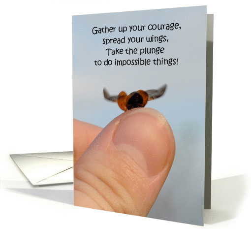 Ladybug graduation card (1123996)