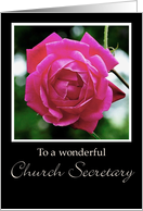 Rose Church...