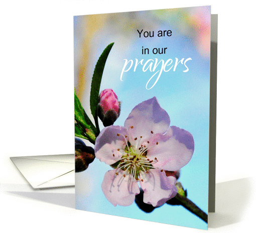 First Day of Chemo You are in Our Prayers card (1311248)