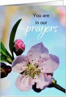 First Day of Chemo You are in Our Prayers card