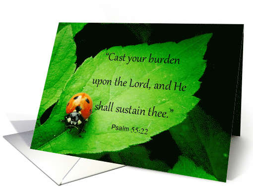 Ladybug, Psalm 55:22, I'm Praying for You card (1385448)