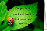 Ladybug, Psalm 55:22, I’m Praying for You card