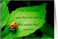 Ladybug, Psalm 55:22...