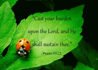 Ladybug, Psalm 55:22...