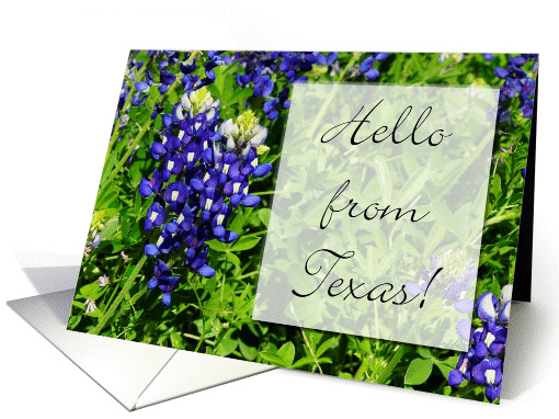 Hello From Texas State Specific Bluebonnet Blank Inside card (1426648)