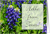 Hello From Texas State Specific Bluebonnet Blank Inside card