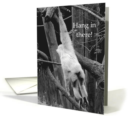 Hang in there! Hope Things Get Better Encouragement card (1426658)