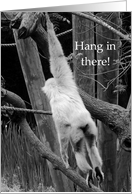 Hang in there! Hope Things Get Better Encouragement card