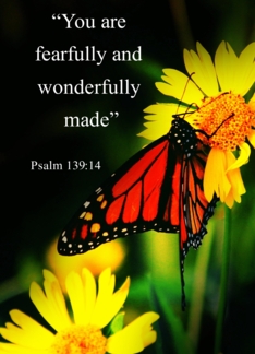Psalms 139:14...